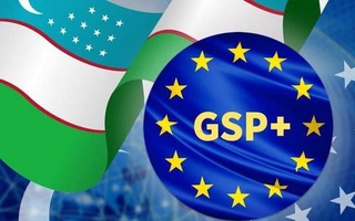 Растет интерес немецких предпринимателей к Узбекистану