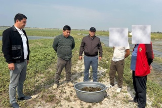 Toshkent viloyatida daryo qisqichbaqasini ovlagan fuqaro jarimaga tortildi