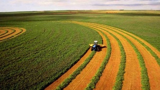 Qishloq xoʻjaligi yerlari ijaraga qanday beriladi