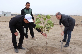 Сады молодежи и спортсменов, юстиции и к юбилею предприятия