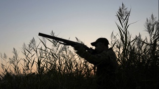 Ов муддати якунланди. Ноқонуний ов учун қаътий жавобгарлик белгиланган!