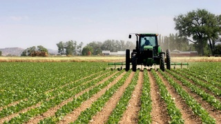 The Ministry of Agriculture told who can receive a subsidy of 1 million soums per hectare of land