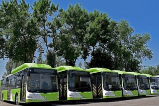 Bir guruh shaxslarga jamoat transportidan bepul foydalanish huquqi berilishi mumkin