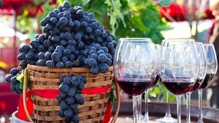 Дар Фаронса масъалаҳои ташкили ҷашнвораи «сайли ангур» дар ноҳияи Паркент баррасӣ шуданд