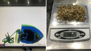 В багаже пассажира обнаружен «золотой» утюг