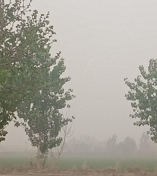 Бухоронинг айрим ҳудудларида чанг бўронлари кузатилмоқда