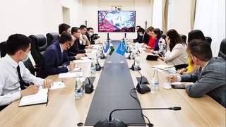 Ўзбекистон ва БМТ ТД ўртасидаги ҳамкорликни янада ривожлантириш масалалари муҳокама қилинди