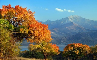 Ҳафтаи оянда дар Ӯзбекистон ҳаво то +37 дараҷа гарм мешавад