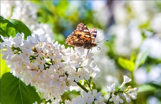 Прогноз погоды на апрель 2026: тепло, местами дожди и грозы