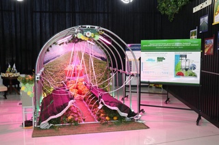 Юртимизда илк бор илмий ишланмалар кўргазмаси ўтказилмоқда