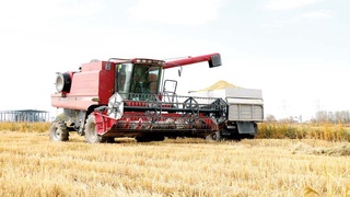 Новая экономическая модель начинает и выигрывает