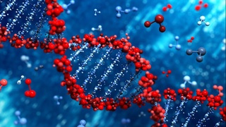 Геном бўйича давлат рўйхатига олиш тўғрисида қонун имзоланди