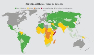 Глобал очлик индексида Ўзбекистон 21 ўринни эгаллади