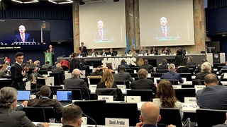 Tumaris.Tech стал победителем в номинации «Сapacity building» на Всемирном саммите по информационному обществу 2022 года