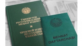 Qonun bilan nimalar oʻzgaradi?