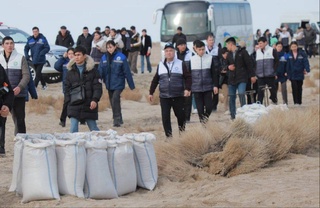 На высохшем дне Аральского моря началась посадка пустынных растений