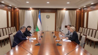The Senate discussed prospects for deepening cooperation between WHO and Uzbekistan