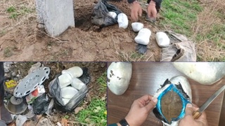 DXX giyohvand moddalar va kuchli taʼsir qiluvchi dori vositalari savdosiga qarshi tadbirlar oʻtkazdi