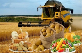 Электрон агросаноат бозори портали ташкил этилади