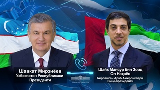 Ўзбекистон Президенти БАА вице-президенти билан стратегик шериклик муносабатларини янада мустаҳкамлаш масалаларини муҳокама қилди