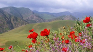 Утверждены площади охраняемых зон заповедников