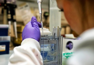 Saraton kasalligiga qarshi dori vositasi muvaffaqiyatli tarzda sinovdan o'tkazildi