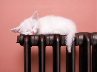 Тошкент шаҳрида иссиқлиқ таъминоти қачондан бошланиши маълум қилинди