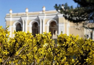 Жара до +35 градусов и усиление ветра ожидаются в Узбекистане в выходные