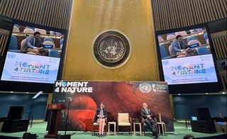 Ход реализации общенационального проекта «Яшил макон» представлен участникам тематических дебатов высокого уровня Генеральной Ассамблеи ООН