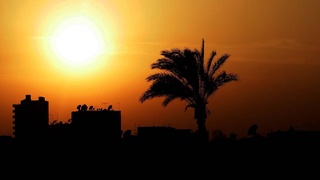 Қоҳира жанубидаги қишлоқ аҳолисида номаълум касаллик аломатлари аниқланди