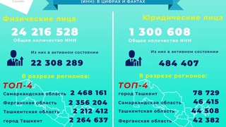 ИНН: коротко и ясно