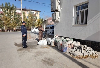 В Узбекистане за десять дней выявлено более 3,7 тысячи случаев незаконного выброса отходов