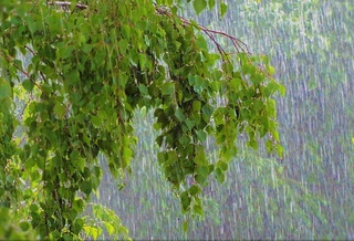 Прогноз погоды на 5 мая