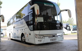 Тошкентдан вилоятларга барча автобус қатновлари бекор қилинди