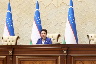 Подведены итоги деятельности Сената Олий Мажлиса в 2023 году