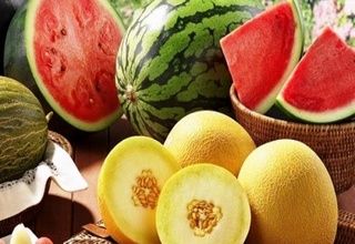 Узбекистан экспортировал дынь и арбузов на сумму 16,4 млн долларов США