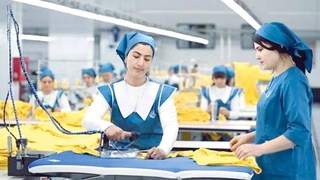 Кашкадарья: международное сотрудничество, кластерная система и результаты