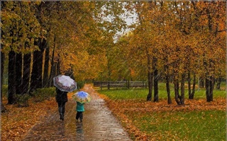 Прогноз погоды на 8 октября