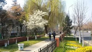 Прогноз погоды на 27 марта