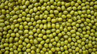 28 та давлатга 28 минг тоннадан зиёд мош экспорт қилди