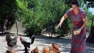 Адресная поддержка граждан