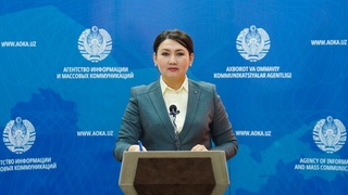 800 дан ортиқ қонун ҳужжатининг 224 тасида (28%) коррупциявий омил аниқланган