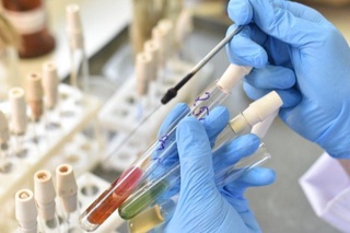 Пандемия нега тугамаяпти?