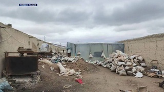 В Навоийской области выявили нелегальную добычу золота на миллиарды сумов