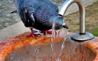 Oʻzbekiston boʻyicha oʻrtacha issiq ob-havo saqlanib turadi