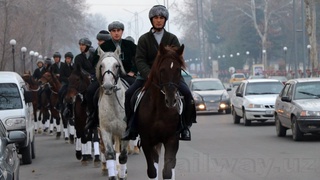 «Конный забег на длинную дистанцию»