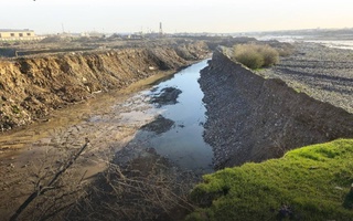 Юқоричирчиқ туманида табиатга 6 миллиард сўмдан ортиқ зарар етказилди. Ҳужжатлар Бош прокуратурада