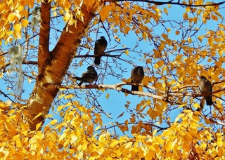 Weather forecast for October 31