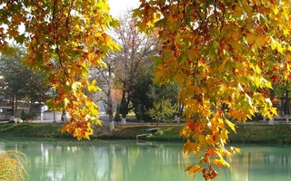 Прогноз погоды на 30 сентября