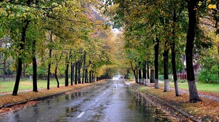 Пешгӯии обу ҳаво барои 4 ноябр